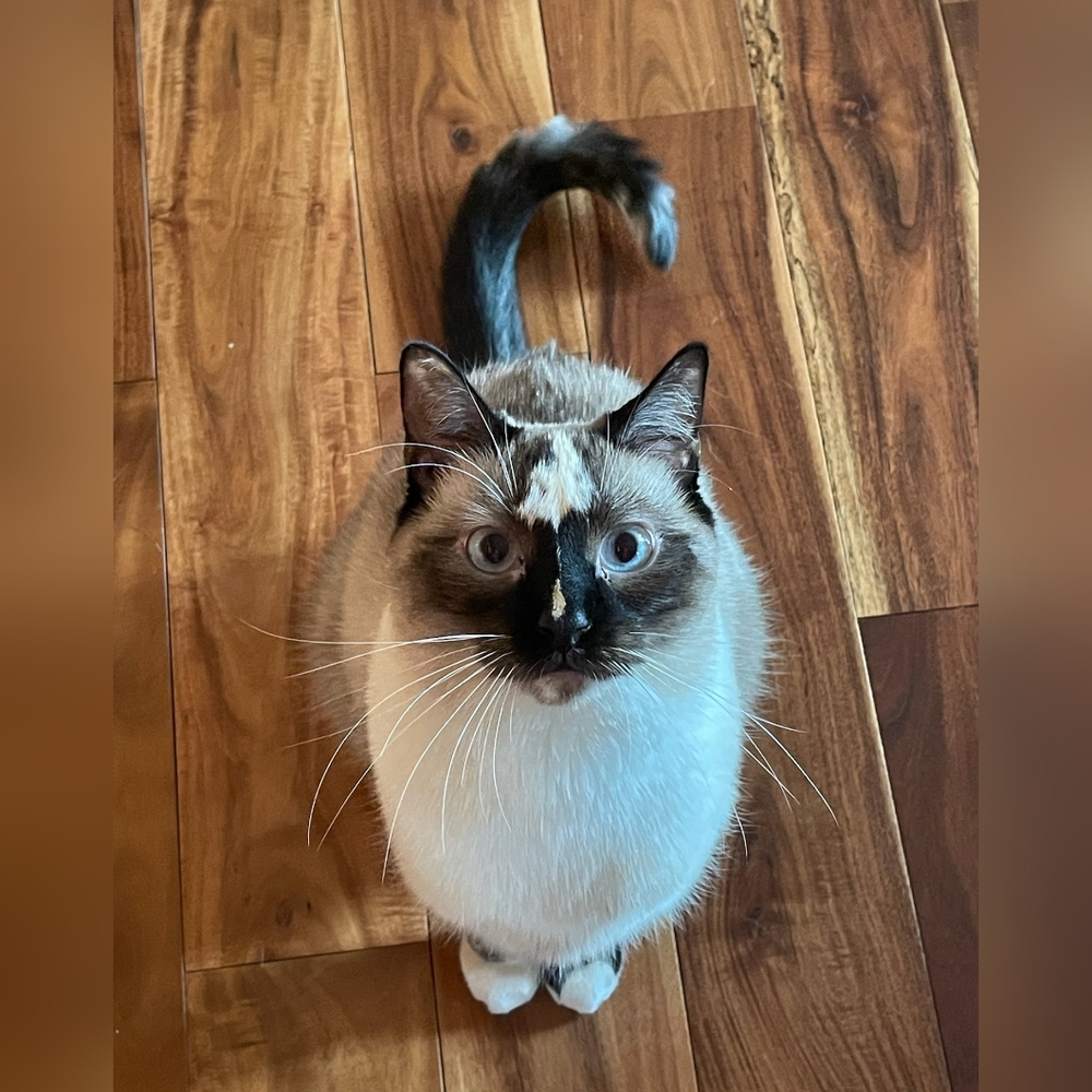 Model Pics For Heaths30